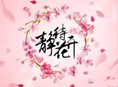 <b>优惠 甄选小吃</b>